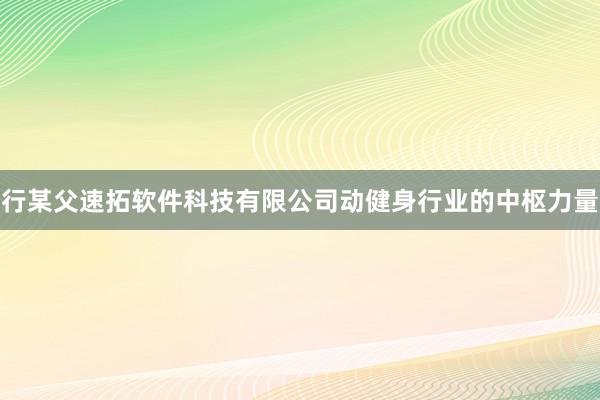 行某父速拓软件科技有限公司动健身行业的中枢力量