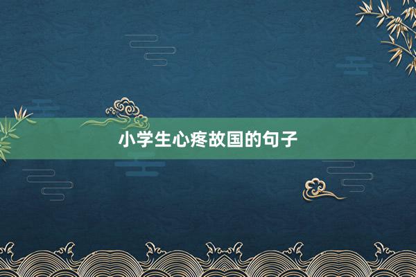 小学生心疼故国的句子